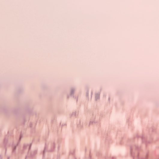 Addressed To The Fire