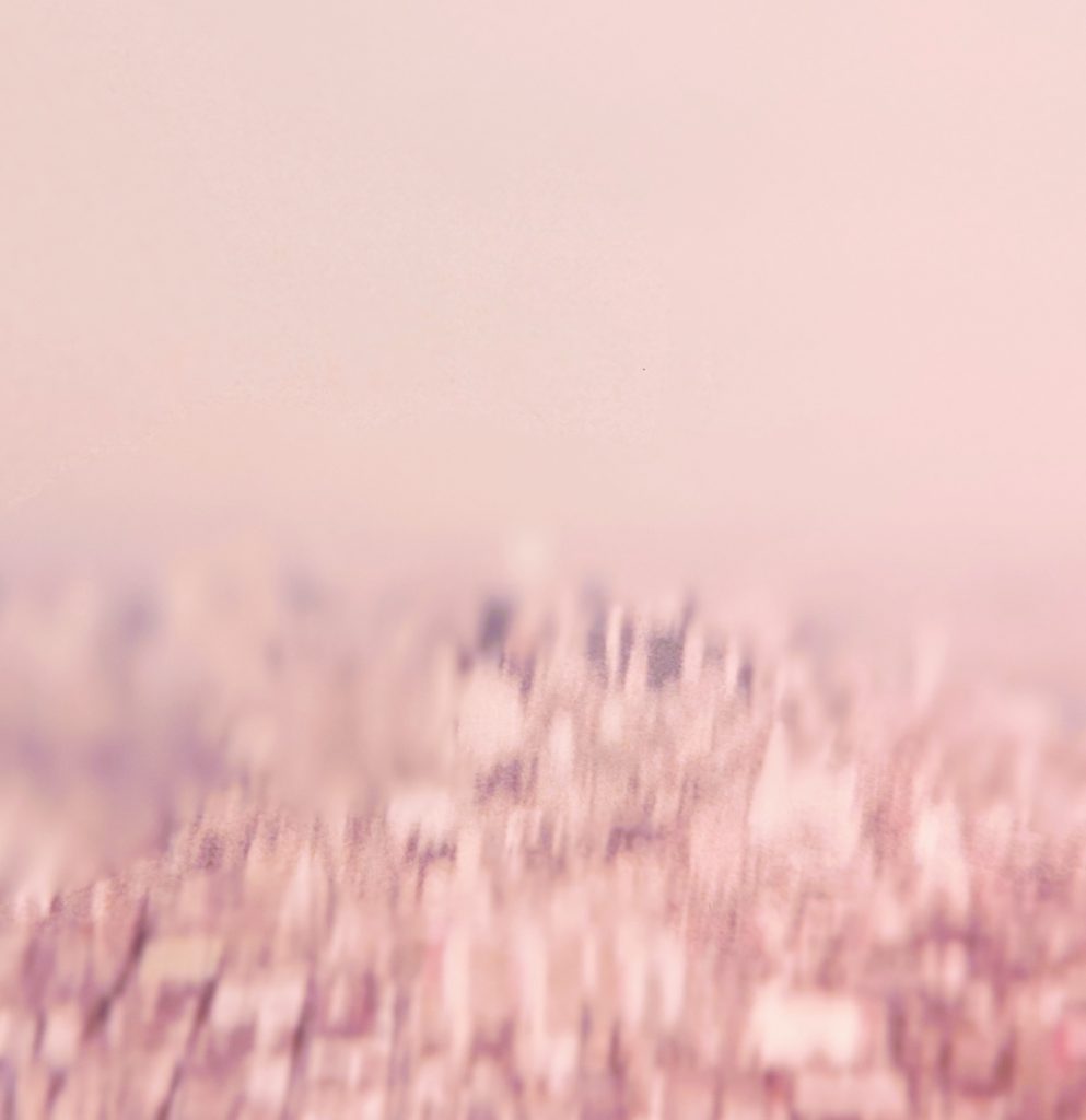 Addressed To The Fire